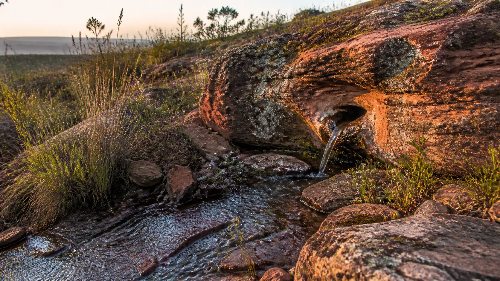 Água de nascente atravessa pedras de arenito entre a vegetação do Cerrado na Chapada dos Guimarães