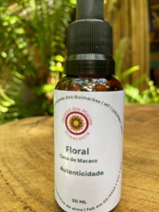 Floral Autenticidade
