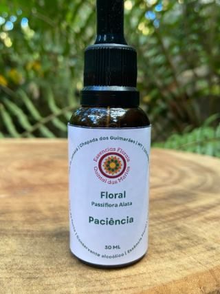 Floral Paciência