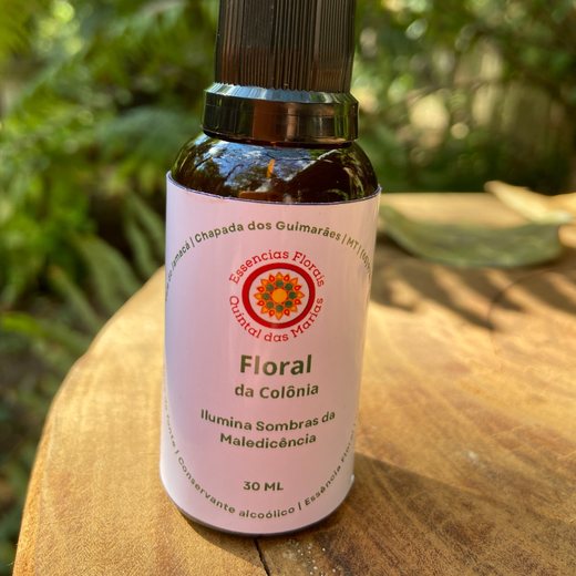 Floral Ilumina Sombras da Maledicência